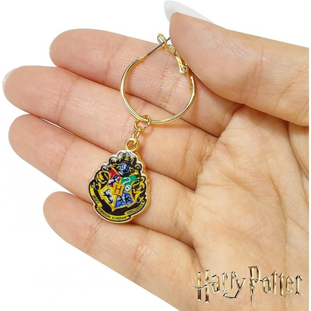 Harry Potter Ohrringe 2 Hypoallergene Ohrringe für Mädchen 1 Stift Ohrringe 1 Fishhook Drop -Ohrringe Sets mit Charms One Size Pass