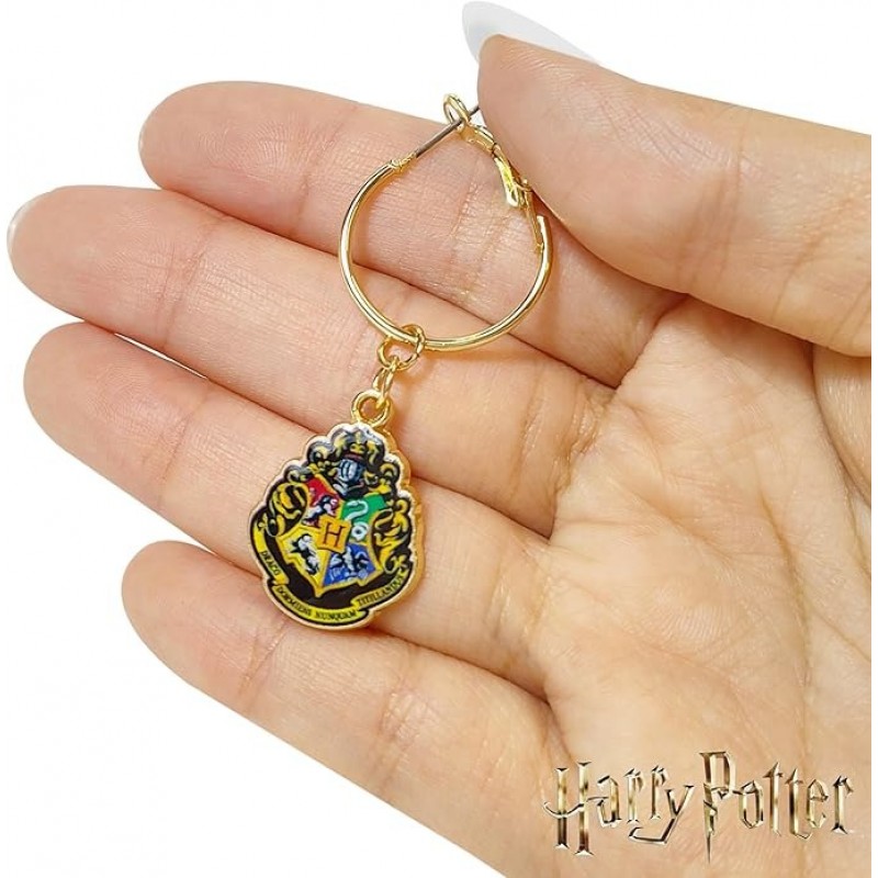 Harry Potter Ohrringe 2 Hypoallergene Ohrringe für Mädchen 1 Stift Ohrringe 1 Fishhook Drop -Ohrringe Sets mit Charms One Size Pass