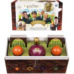 Wizarding World Harry Potter - Catch the Golden Snitch - Action card game for 3-4 players aged 8+