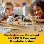 LEGO 31137 Creator 3in1 Niedliche Hunde Set mit Dackel-, Mops-, Pudel-Tierfiguren und mehr, Spielzeug für Kinder ab 7 Jahren, Geschenk für Hundeliebhaber LEGO 31137 Creator 3in1 Niedliche Hunde Set mit Dackel-, Mops-, Pudel-Tierfiguren und mehr, Spielzeug für Kinder ab 7 Jahren, Geschenk für Hundeliebhaber