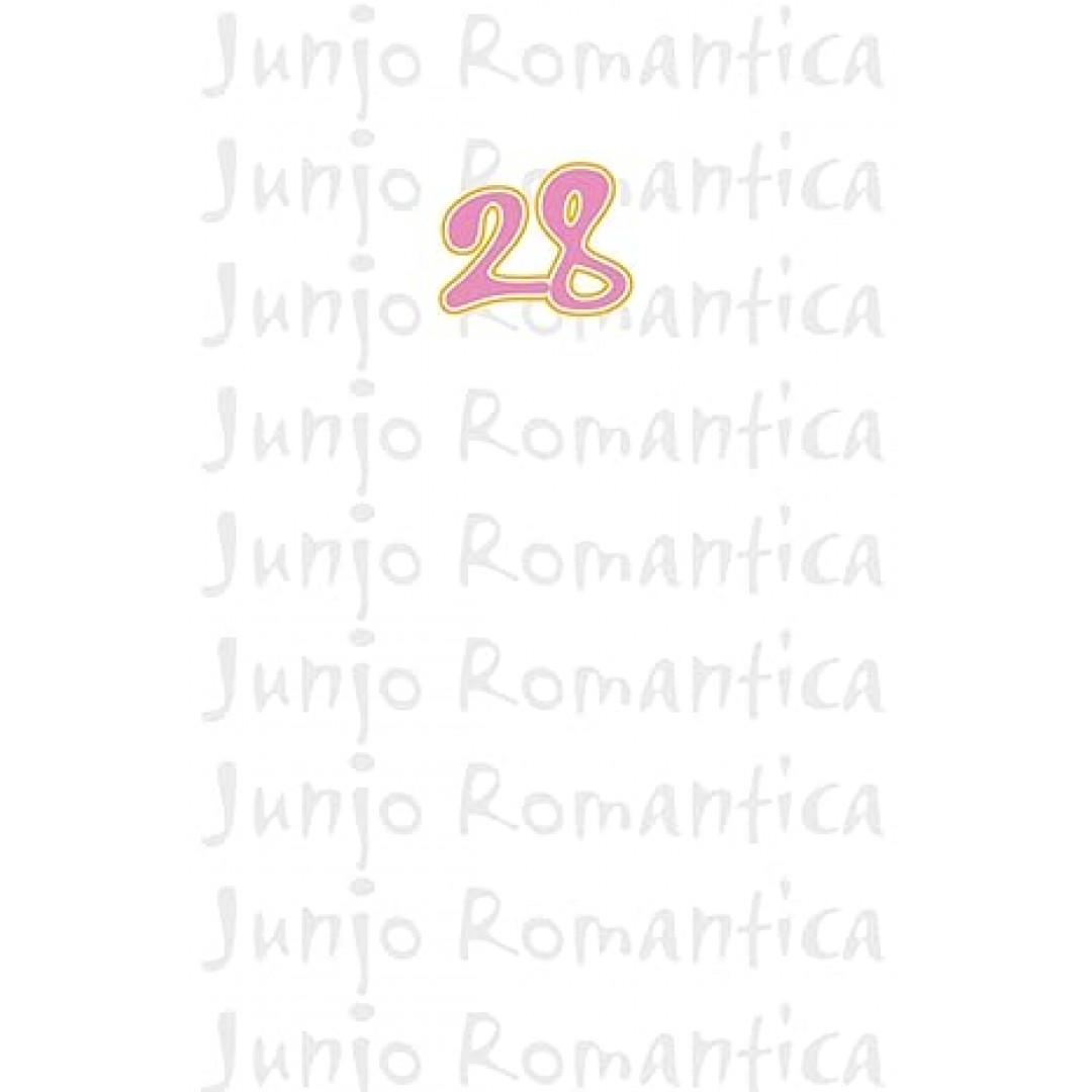 Junjo Romantica 28: Die beliebte Boys-Love-Soap-Opera Junjo Romantica 28: Die beliebte Boys-Love-Soap-Opera