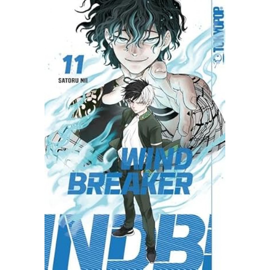 Wind Breaker 11