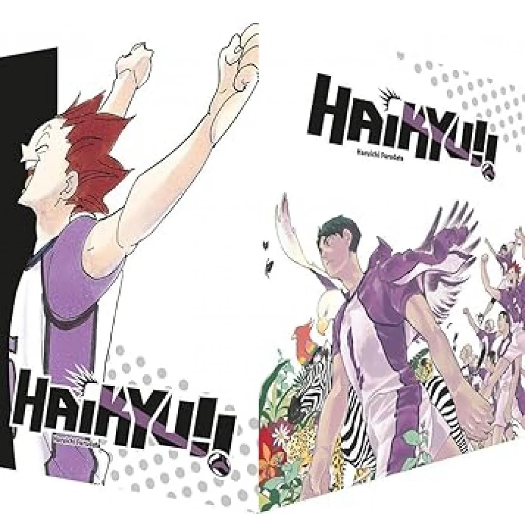 Haikyu!! Sammelbox 4 – Band 31-40 im Schuber Haikyu!! Sammelbox 4 – Band 31-40 im Schuber