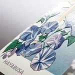 First Love Blooms: Feinfühliger Yaoi-Manga über einen Yakuza und seine erste Liebe - Mit hochwertiger SNS Card in der 1. Auflage