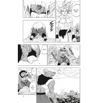 Dragon Ball Super 15: Neues aus dem DRAGON BALL-Universum Dragon Ball Super 15: Neues aus dem DRAGON BALL-Universum