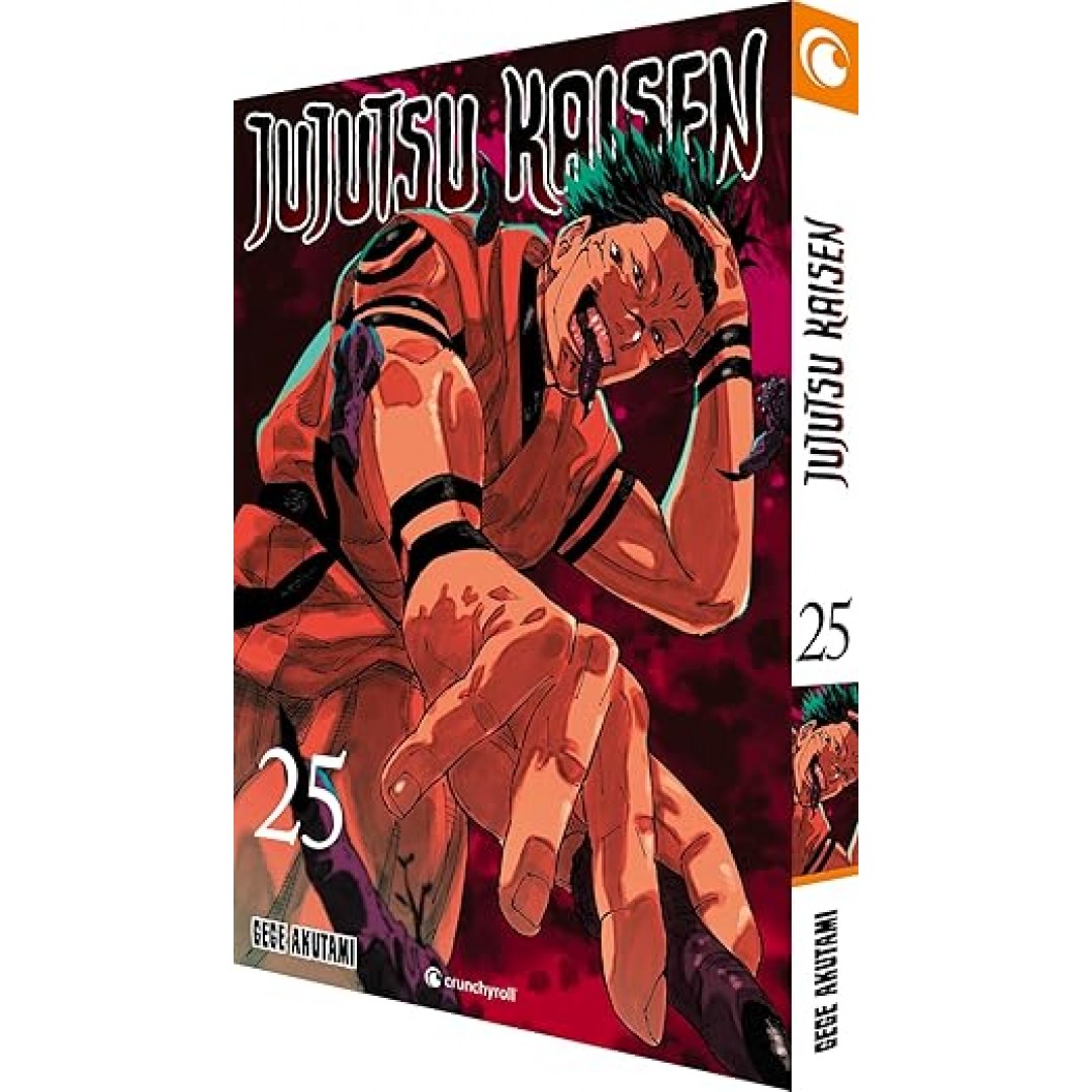Jujutsu Kaisen – Band 25 Jujutsu Kaisen – Band 25