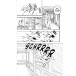 Hunter X Hunter 38: Actionreiche und mysteriöse Abenteuer auf dem Weg zur Legende Hunter X Hunter 38: Actionreiche und mysteriöse Abenteuer auf dem Weg zur Legende