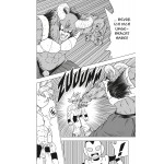 Dragon Ball Super 15: Neues aus dem DRAGON BALL-Universum Dragon Ball Super 15: Neues aus dem DRAGON BALL-Universum