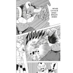 Dragon Ball Super 15: Neues aus dem DRAGON BALL-Universum
